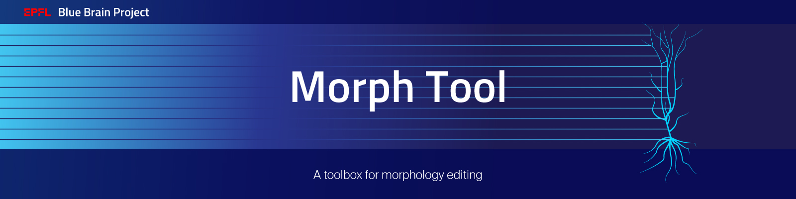 _images/BBP-Morph-Tool.jpg